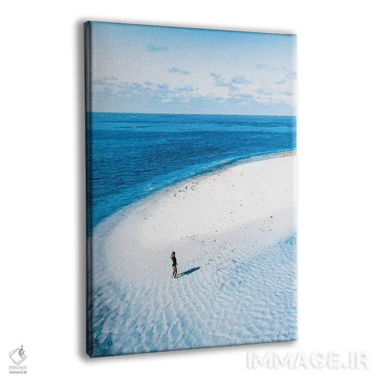 تابلو دکوراتیو دختر تنها در جزیره بهشتی خلوت اثر جیمز وودیکا - نمای پرسپکتیو محصول