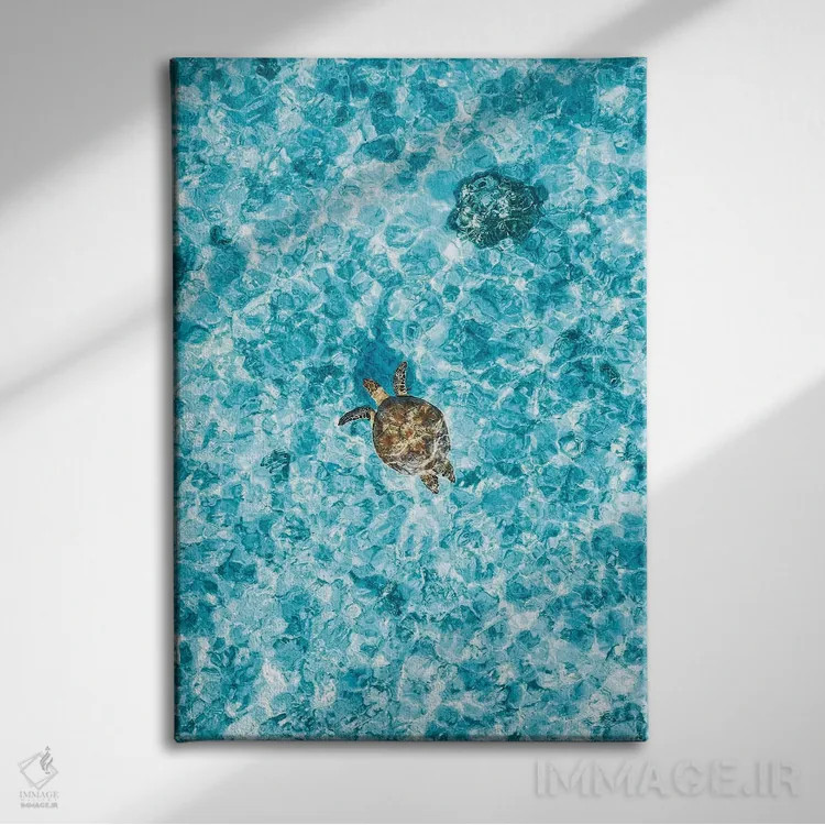 تابلو دکوراتیو لاک پشت جزیره در دیواره بزرگ مرجانی از نمای هوایی اثر جیمز وودیکا - نمای روبهرو روی دیوار