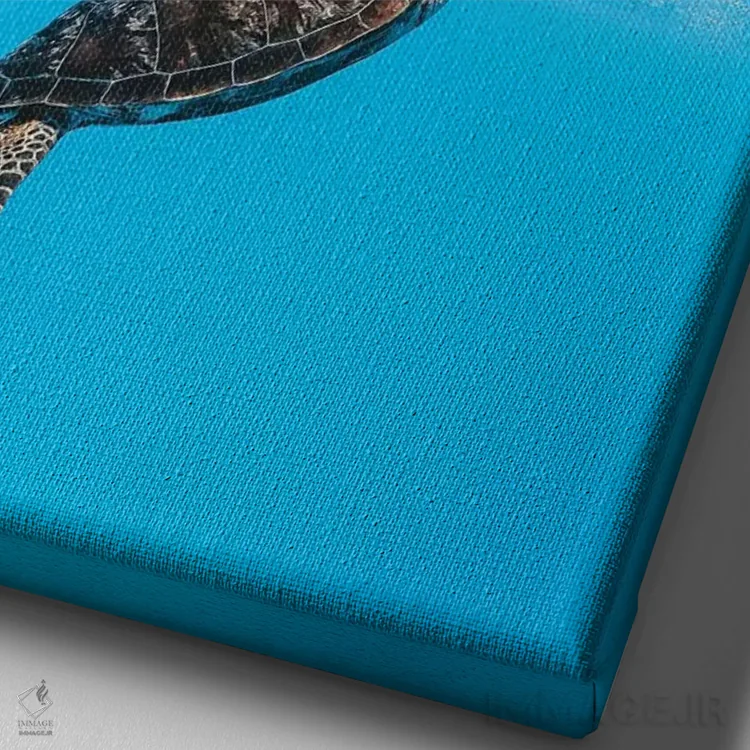 تابلو دکوراتیو لاک پشت کوچک زیر آب اثر جیمز وودیکا - نمای نزدیک بافت بوم