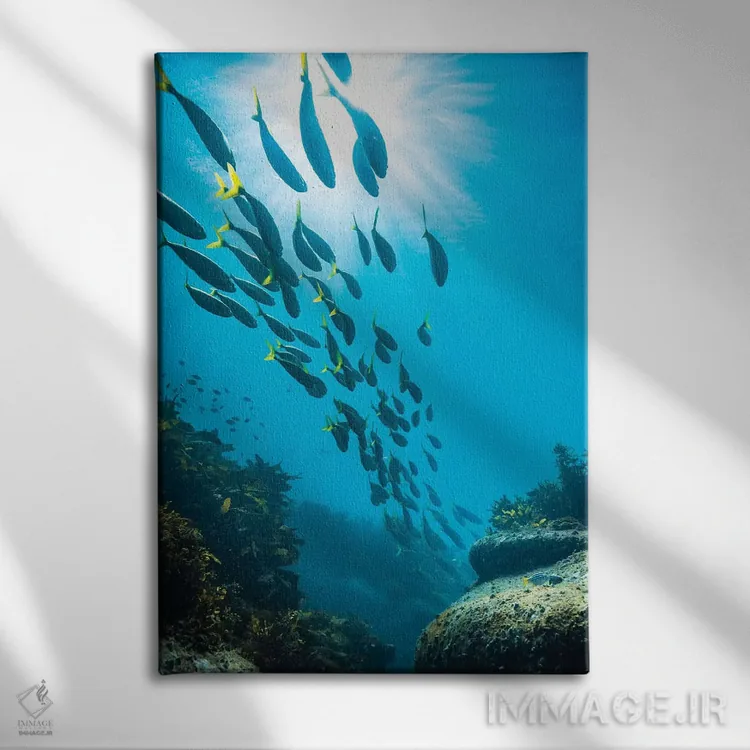 تابلو دکوراتیو زیر آب سیدنی اثر جیمز وودیکا - نمای روبهرو روی دیوار