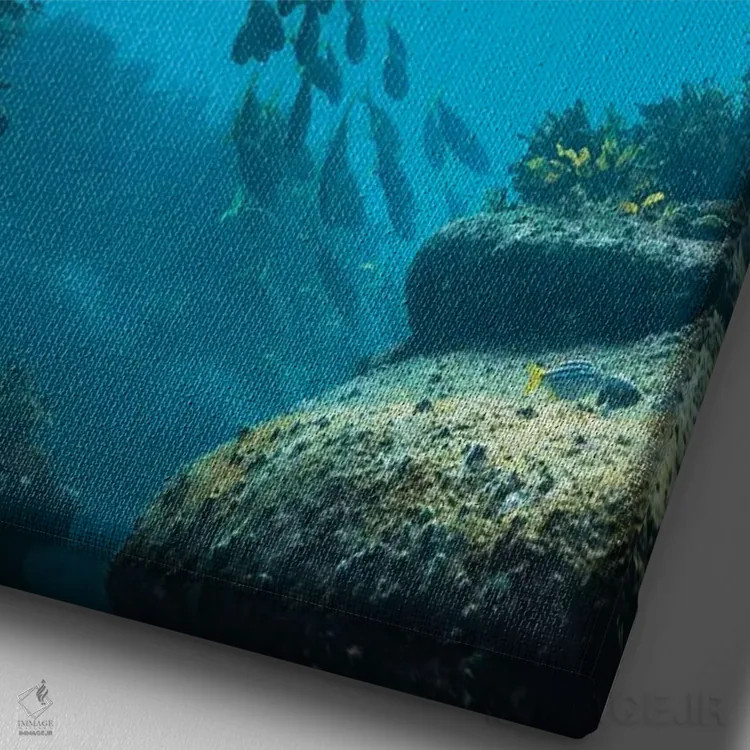 تابلو دکوراتیو زیر آب سیدنی اثر جیمز وودیکا - نمای نزدیک بافت بوم