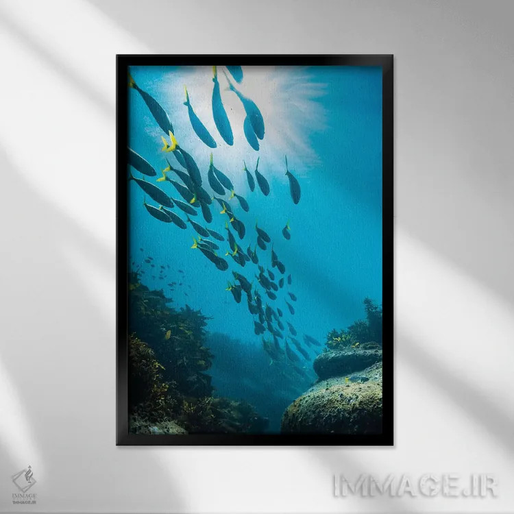 تابلو دکوراتیو زیر آب سیدنی اثر جیمز وودیکا - نمای قابدار مشکی