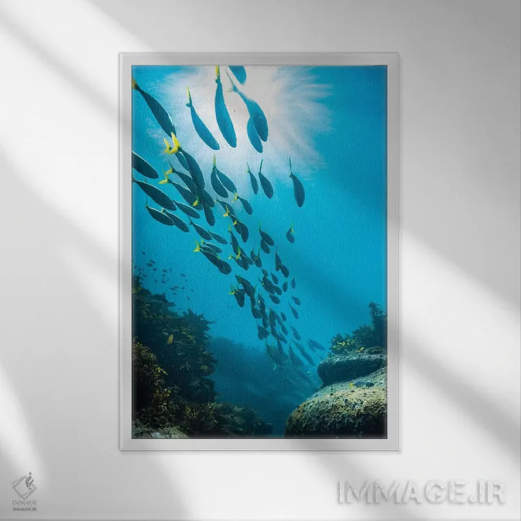 تابلو دکوراتیو زیر آب سیدنی اثر جیمز وودیکا - نمای قابدار سفید