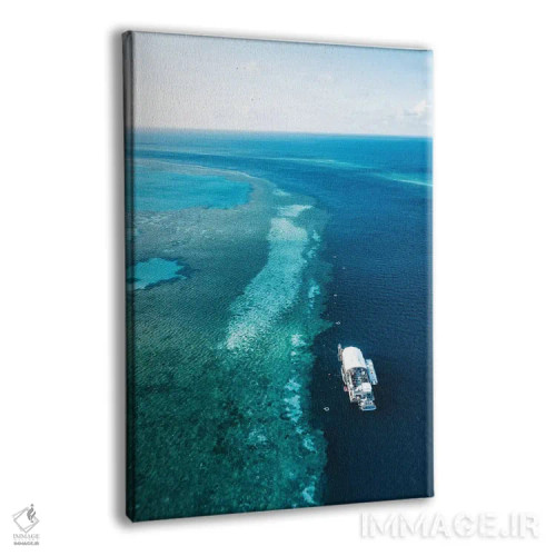 تابلو دکوراتیو پانتون دیواره بزرگ مرجانی اثر جیمز وودیکا - نمای پرسپکتیو محصول