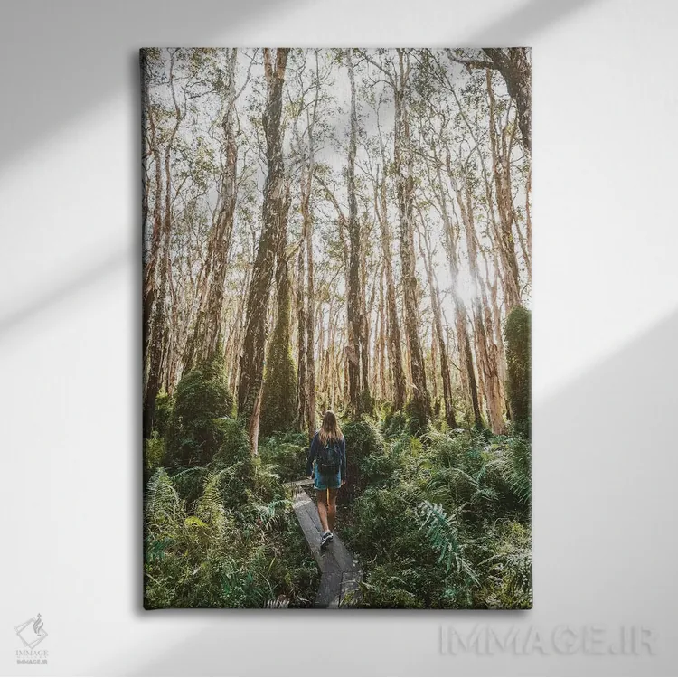 تابلو دکوراتیو دختر در مسیر چوبی میان بوته زار جنگلی اثر جیمز وودیکا - نمای روبهرو روی دیوار