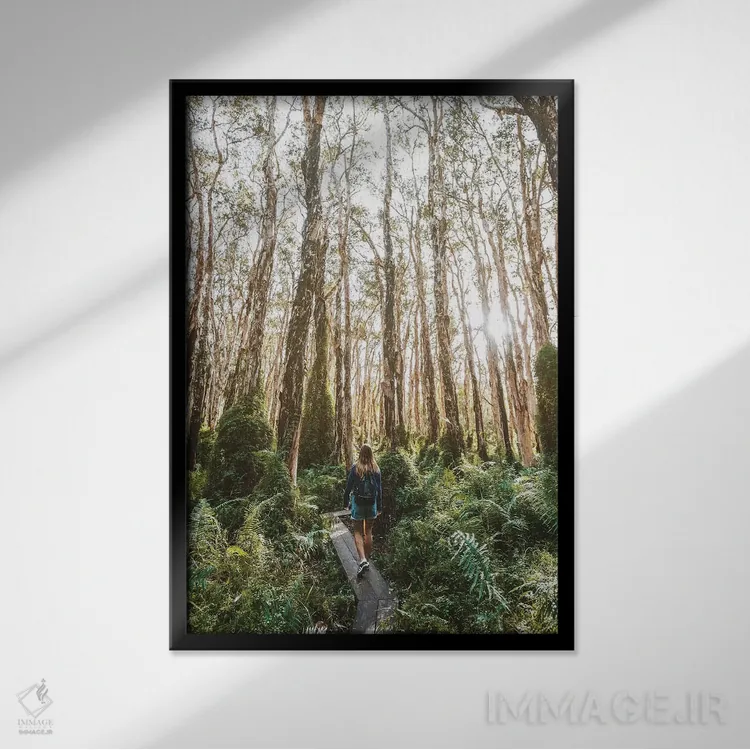 تابلو دکوراتیو دختر در مسیر چوبی میان بوته زار جنگلی اثر جیمز وودیکا - نمای قابدار مشکی