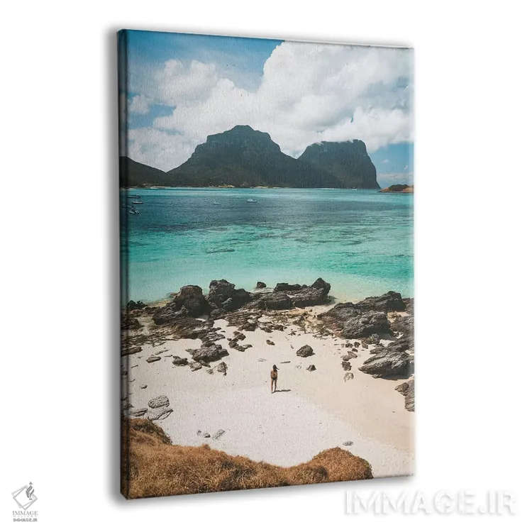 تابلو دکوراتیو دختر جزیره ای اثر جیمز وودیکا - نمای پرسپکتیو محصول