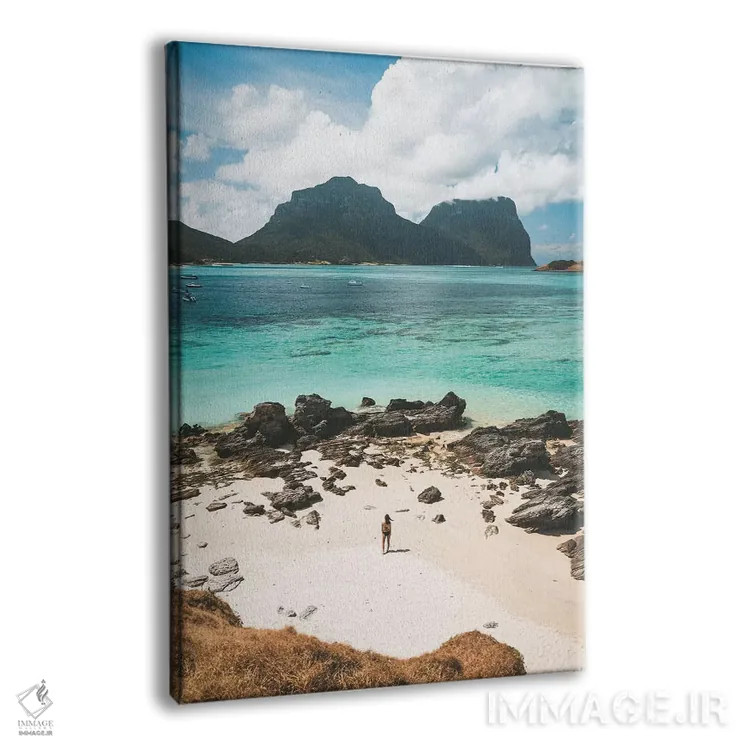 تابلو دکوراتیو دختر جزیره ای اثر جیمز وودیکا - نمای پرسپکتیو محصول