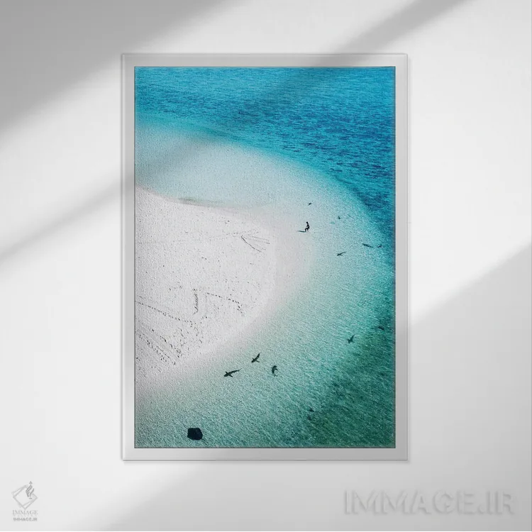 تابلو دکوراتیو منظره هوایی جزیره، ساحل، کوسه ها و شناگر اثر جیمز وودیکا - نمای قابدار سفید