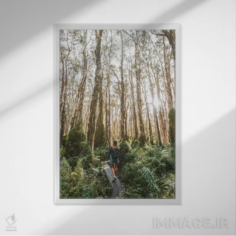 تابلو دکوراتیو دختر در مسیر چوبی میان بوته زار جنگلی اثر جیمز وودیکا - نمای قابدار سفید