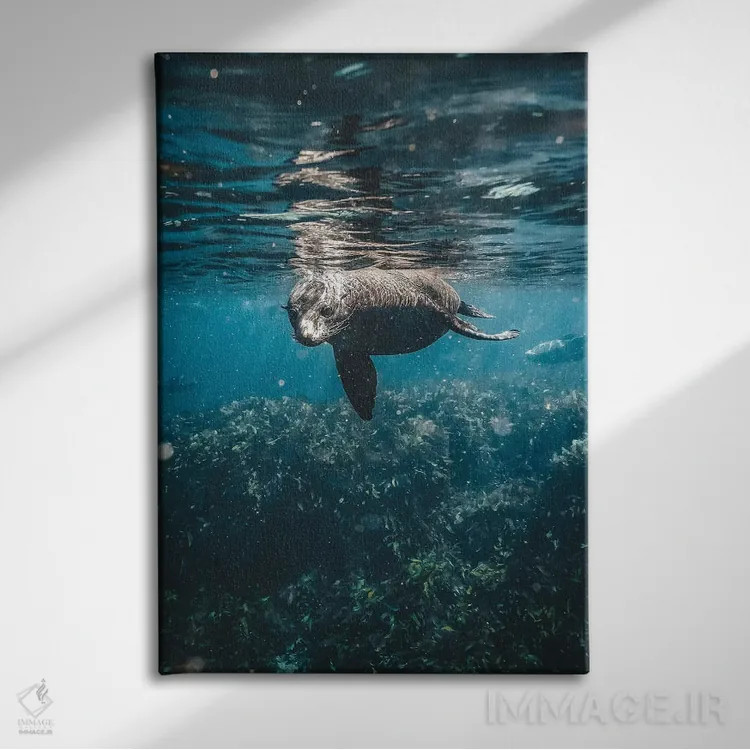 تابلو دکوراتیو شیر دریایی کنجکاو زیر آب اثر جیمز وودیکا - نمای روبهرو روی دیوار