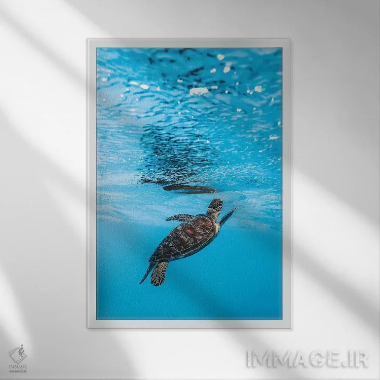 تابلو دکوراتیو لاک پشت کوچک زیر آب اثر جیمز وودیکا - نمای قابدار سفید