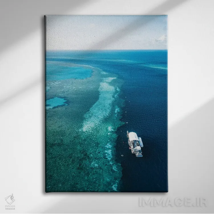 تابلو دکوراتیو پانتون دیواره بزرگ مرجانی اثر جیمز وودیکا - نمای روبهرو روی دیوار