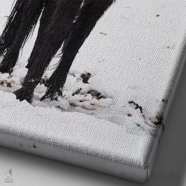 تابلو دکوراتیو اسبچه ایسلندی در برف زمستانی اثر جیمز وودیکا - نمای نزدیک بافت بوم