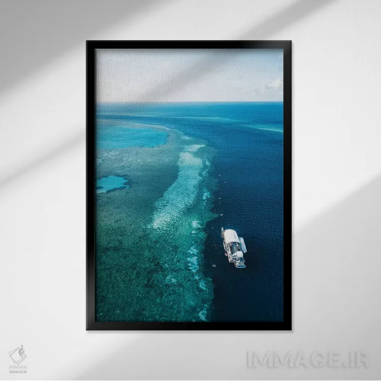 تابلو دکوراتیو پانتون دیواره بزرگ مرجانی اثر جیمز وودیکا - نمای قابدار مشکی