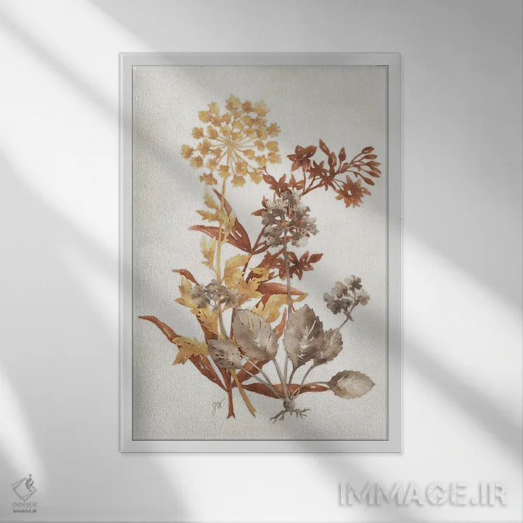 تابلو دکوراتیو سایه گیاهی ۴ اثر جکی ون توبل - نمای قابدار سفید