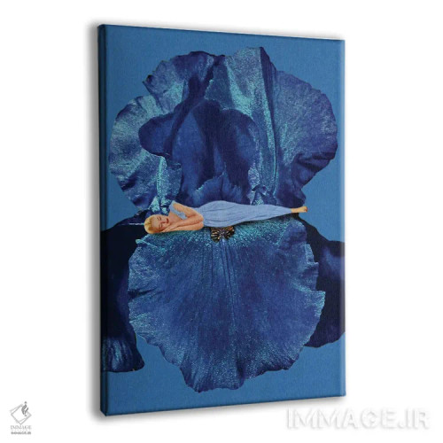 تابلو دکوراتیو خواب زیبایی اثر جولیا والک - نمای پرسپکتیو محصول