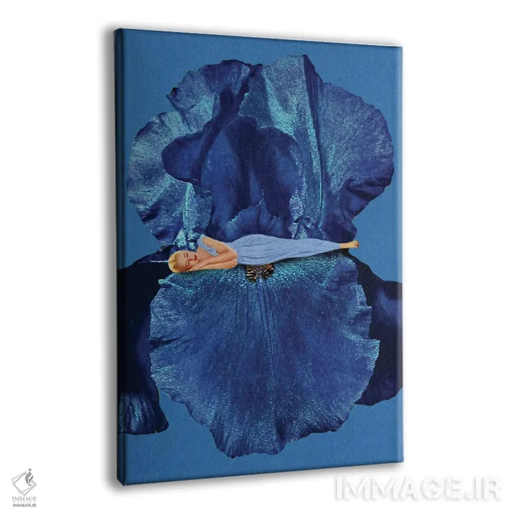 تابلو دکوراتیو خواب زیبایی اثر جولیا والک - نمای پرسپکتیو محصول