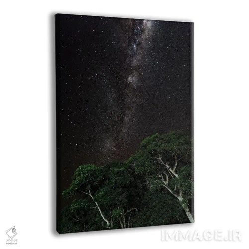 تابلو دکوراتیو Brazil,درختی با نقاشی نوری در پیش زمینه و کهکشان راه شیری در… اثر جیمز وایت - نمای پرسپکتیو محصول