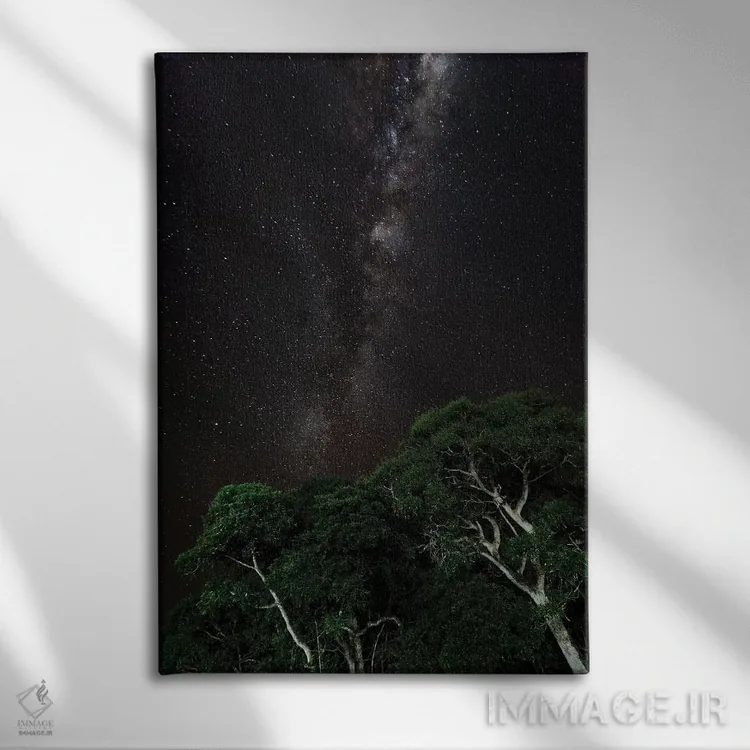 تابلو دکوراتیو Brazil,درختی با نقاشی نوری در پیش زمینه و کهکشان راه شیری در… اثر جیمز وایت - نمای روبهرو روی دیوار