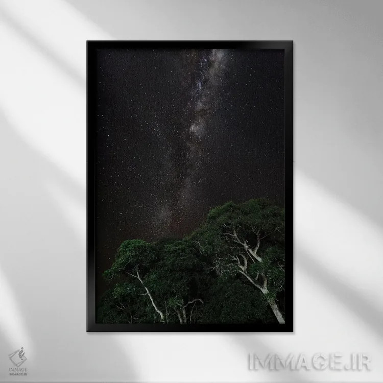 تابلو دکوراتیو Brazil,درختی با نقاشی نوری در پیش زمینه و کهکشان راه شیری در… اثر جیمز وایت - نمای قابدار مشکی