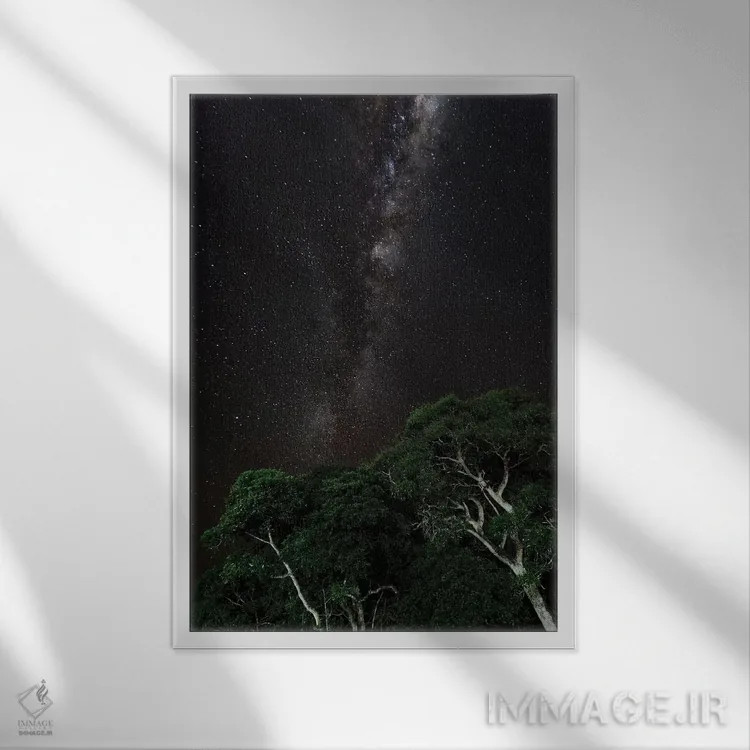 تابلو دکوراتیو Brazil,درختی با نقاشی نوری در پیش زمینه و کهکشان راه شیری در… اثر جیمز وایت - نمای قابدار سفید