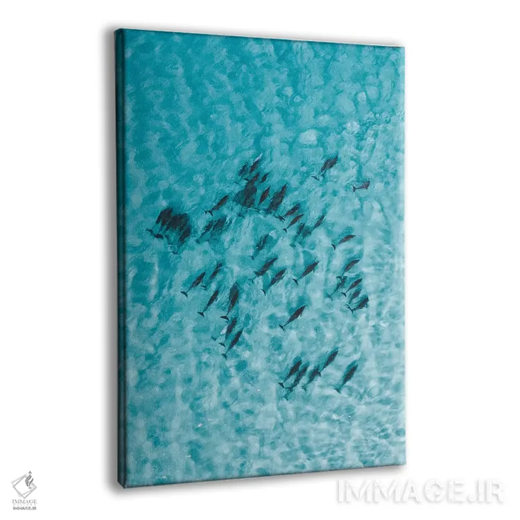 تابلو دکوراتیو دلفین های آرام اثر جکسون رابرتز - نمای پرسپکتیو محصول
