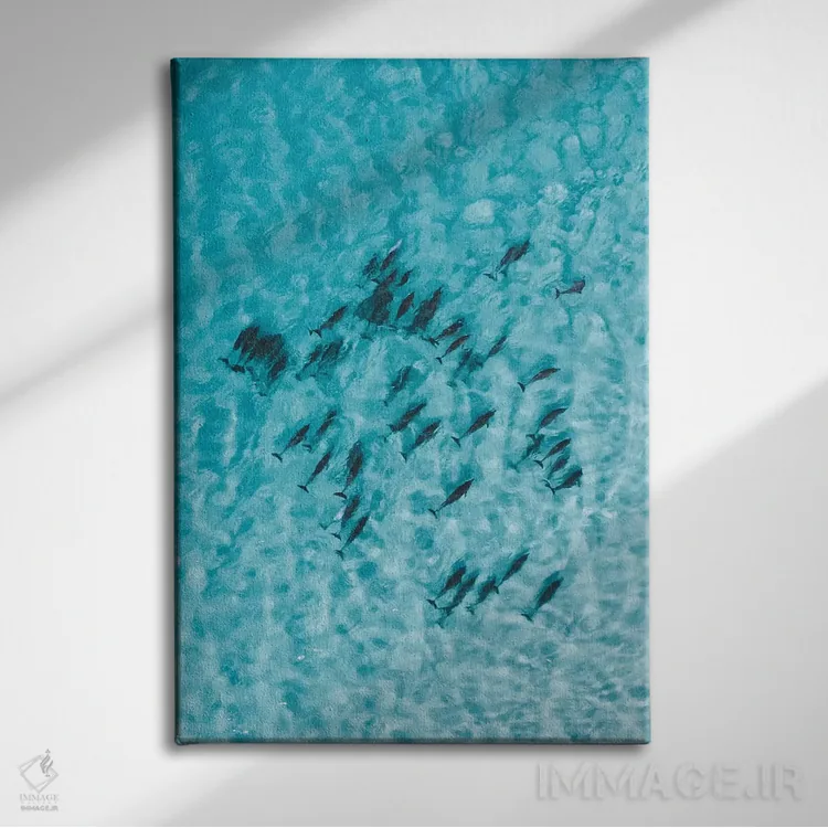 تابلو دکوراتیو دلفین های آرام اثر جکسون رابرتز - نمای روبهرو روی دیوار