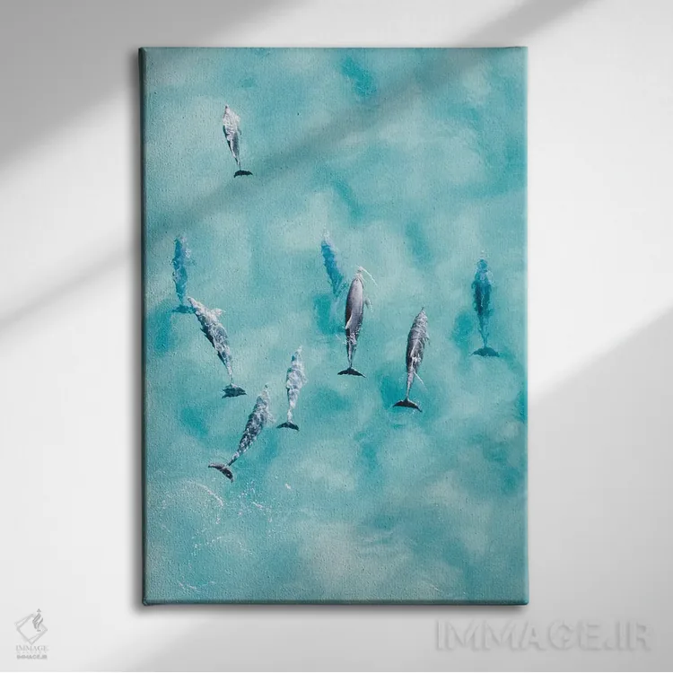 تابلو دکوراتیو دلفین های آرام اثر جکسون رابرتز - نمای روبهرو روی دیوار