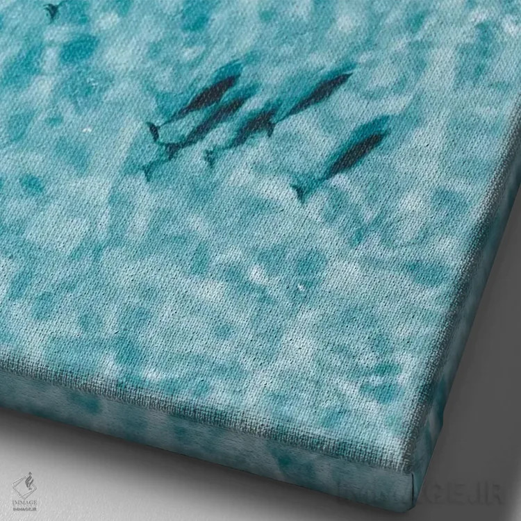 تابلو دکوراتیو دلفین های آرام اثر جکسون رابرتز - نمای نزدیک بافت بوم