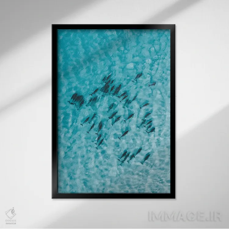 تابلو دکوراتیو دلفین های آرام اثر جکسون رابرتز - نمای قابدار مشکی