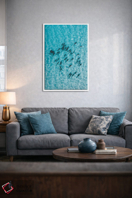 تابلو دکوراتیو دلفین های آرام اثر جکسون رابرتز - D3W