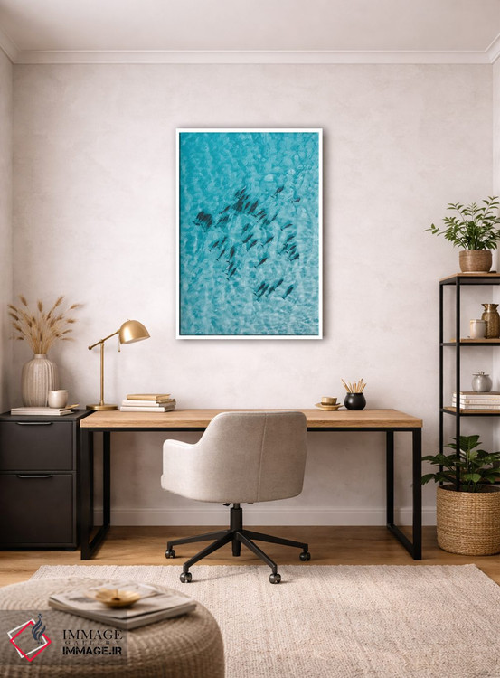 تابلو دکوراتیو دلفین های آرام اثر جکسون رابرتز - D2W