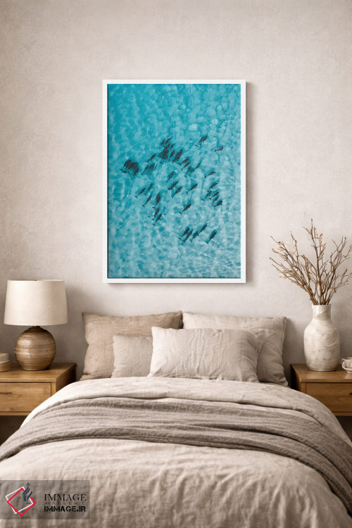 تابلو دکوراتیو دلفین های آرام اثر جکسون رابرتز - D1W