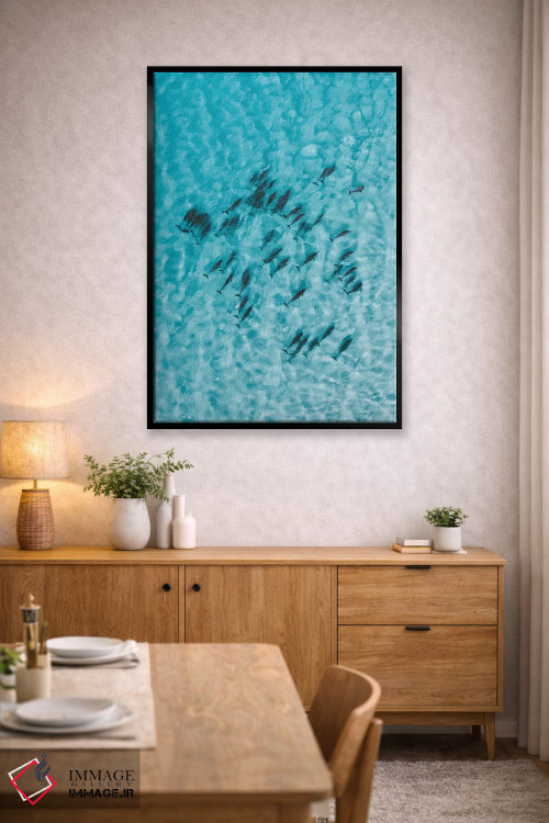 تابلو دکوراتیو دلفین های آرام اثر جکسون رابرتز - D4B