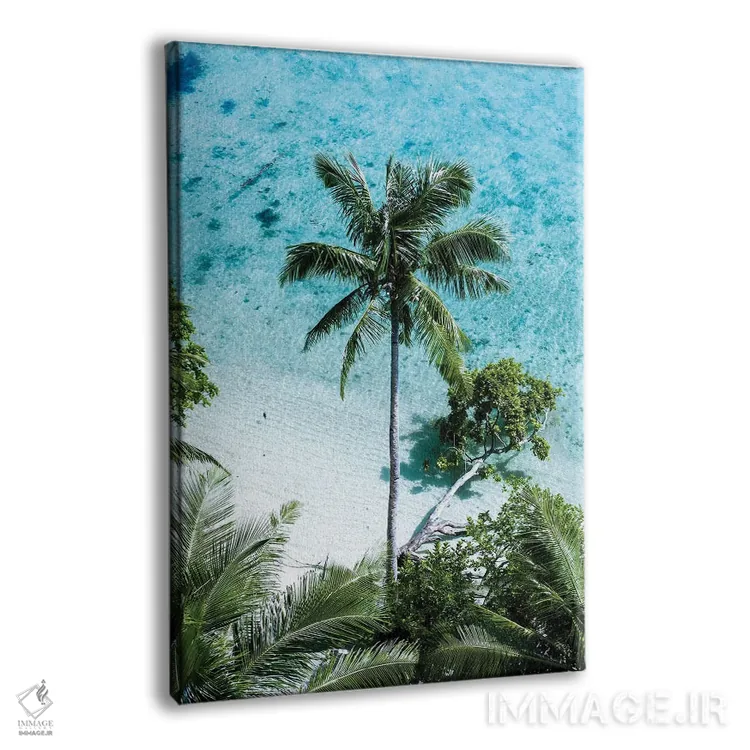 تابلو دکوراتیو بهشت درختان نخل اثر جکسون رابرتز - نمای پرسپکتیو محصول