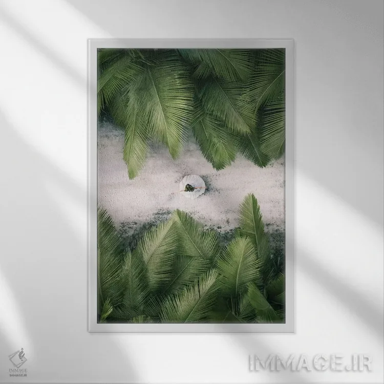 تابلو دکوراتیو گمشده در جنگل شماره یک اثر جکسون رابرتز - نمای قابدار سفید
