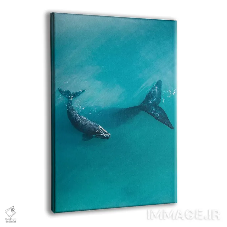 تابلو دکوراتیو نهنگ های آرام شماره دو اثر جکسون رابرتز - نمای پرسپکتیو محصول