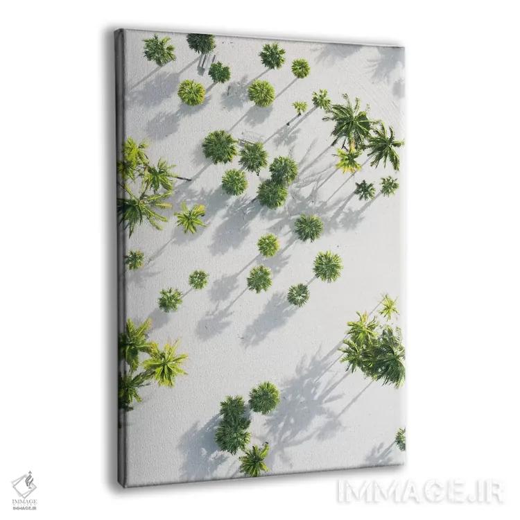 تابلو دکوراتیو بهشت درختان نخل اثر جکسون رابرتز - نمای پرسپکتیو محصول