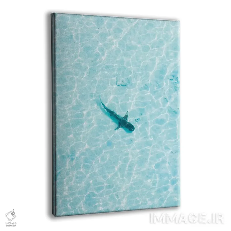 تابلو دکوراتیو کوسه در آب های کم عمق اثر جکسون رابرتز - نمای پرسپکتیو محصول