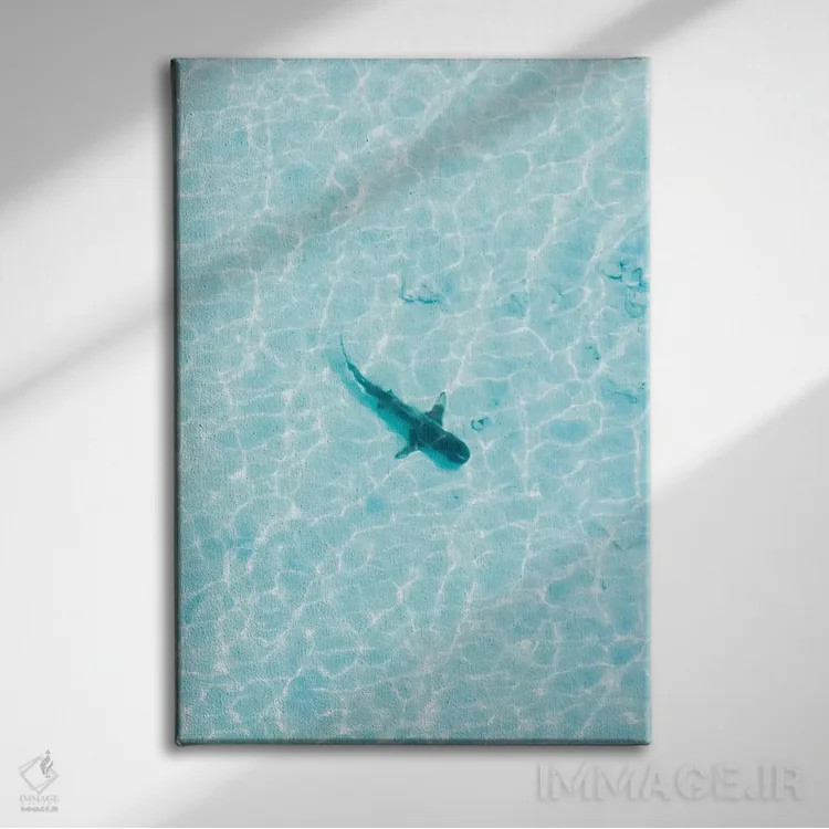 تابلو دکوراتیو کوسه در آب های کم عمق اثر جکسون رابرتز - نمای روبهرو روی دیوار