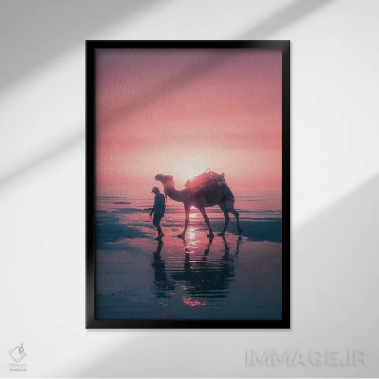 تابلو دکوراتیو شتر در غروب اثر جکسون رابرتز - نمای قابدار مشکی