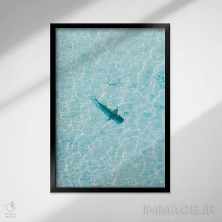 تابلو دکوراتیو کوسه در آب های کم عمق اثر جکسون رابرتز - نمای قابدار مشکی