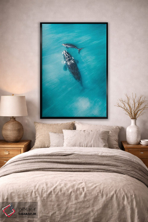 تابلو دکوراتیو نهنگ های آرام شماره سه اثر جکسون رابرتز - D2B