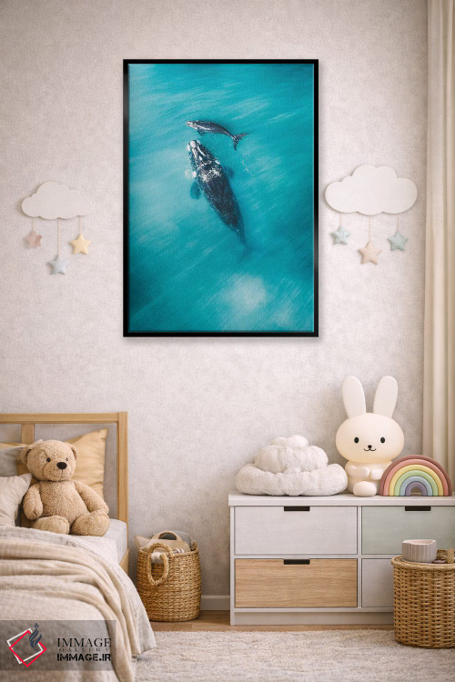 تابلو دکوراتیو نهنگ های آرام شماره سه اثر جکسون رابرتز - D5B