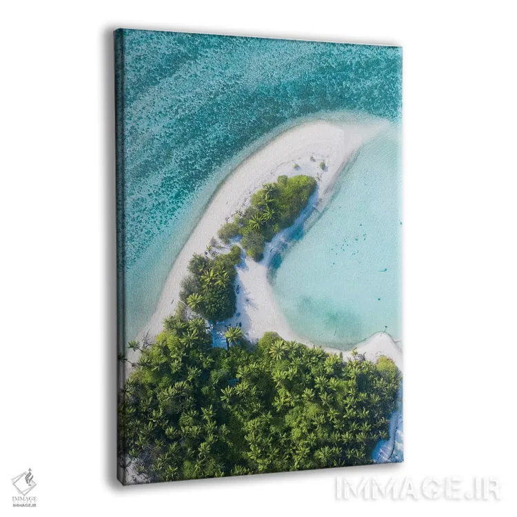 تابلو دکوراتیو جزایر کوکوس شماره یک اثر جکسون رابرتز - نمای پرسپکتیو محصول