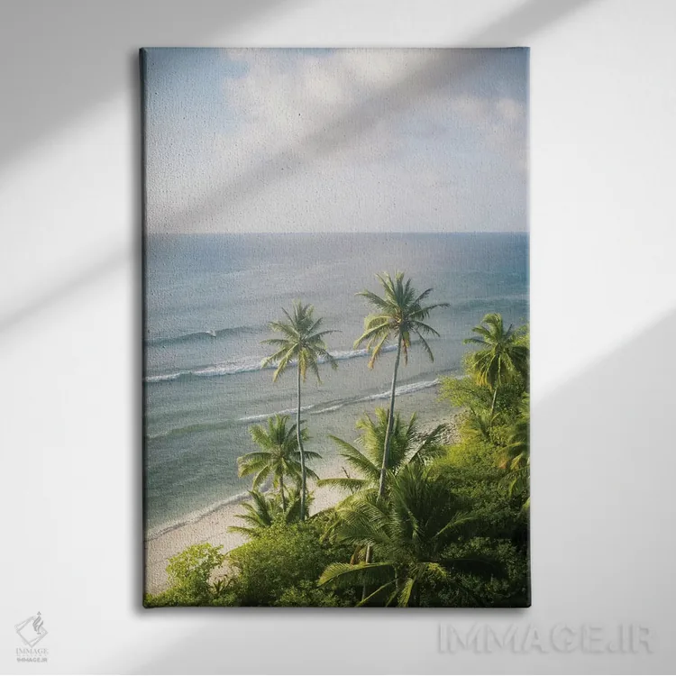 تابلو دکوراتیو جزایر کوکوس شماره دو اثر جکسون رابرتز - نمای روبهرو روی دیوار