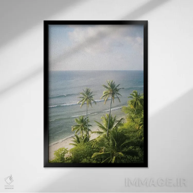 تابلو دکوراتیو جزایر کوکوس شماره دو اثر جکسون رابرتز - نمای قابدار مشکی