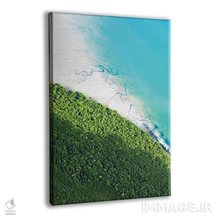 تابلو دکوراتیو استرالیا پرجنب وجوش اثر جکسون رابرتز - نمای پرسپکتیو محصول