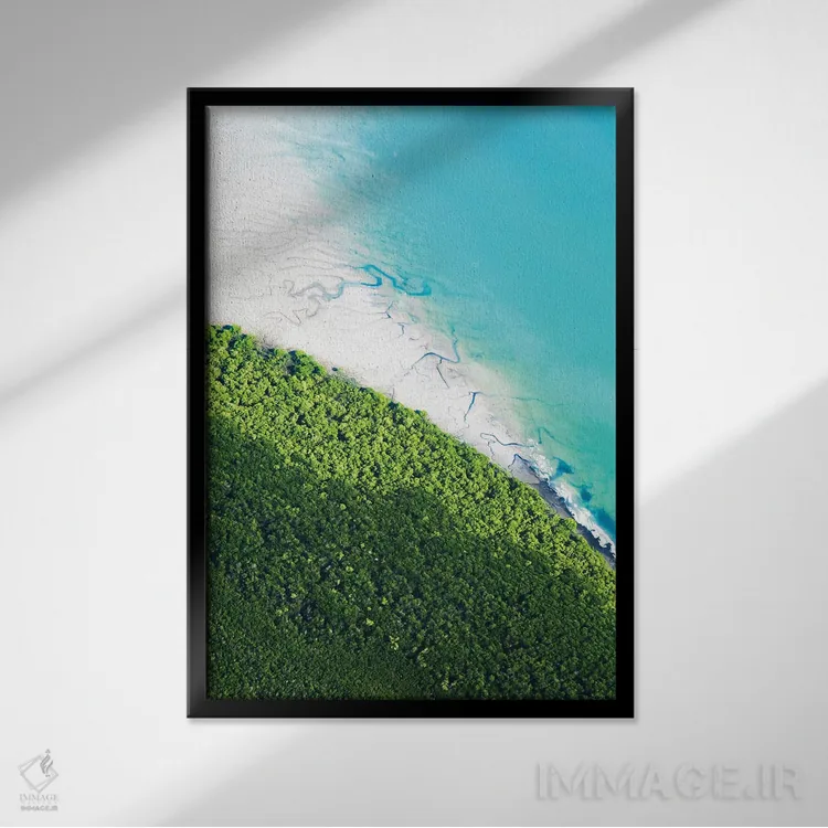 تابلو دکوراتیو استرالیا پرجنب وجوش اثر جکسون رابرتز - نمای قابدار مشکی